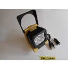 Lampe multifonction  Leds (1000Lum)