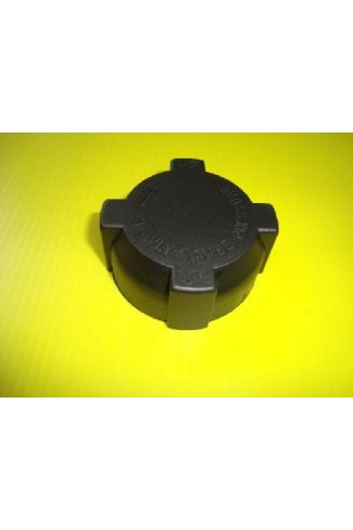 bouchon de vase d'expansion TDI