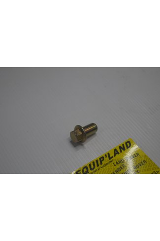 Vis cache culbuteur 300 TDI