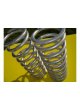 paire ressorts AR Terrafirma +50mm