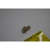 Vis cache culbuteur 300 TDI